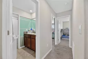 10022 Rose Petal Pl, Riverview, FL 33578 - Photo 32
