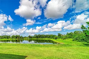 11007 Tamarack Pl, Parrish, FL 34219 - Photo 28