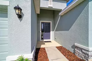11007 Tamarack Pl, Parrish, FL 34219 - Photo 4
