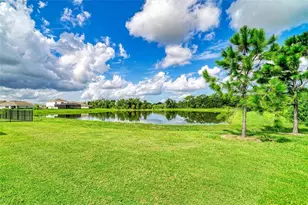 11007 Tamarack Pl, Parrish, FL 34219 - Photo 30