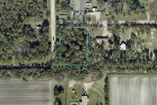 5131 Pecan Ave, Bunnell, FL 32110 - Photo 1