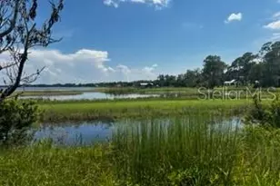 12919 Broleman Rd, Orlando, FL 32832 - Photo 14