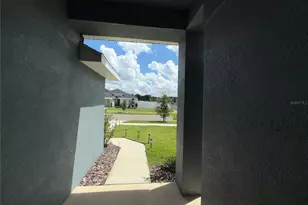 14921 Tropical Violet Wy, Wimauma, FL 33598 - Photo 24