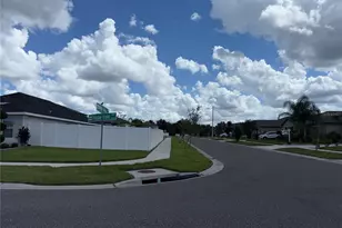 14921 Tropical Violet Wy, Wimauma, FL 33598 - Photo 28