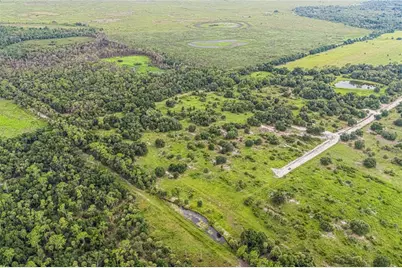 36810 Kville Road, Myakka City, FL 34251 - Photo 8