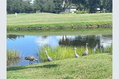 7173 W Country Club Drive N #242, Sarasota, FL 34243 - Photo 48