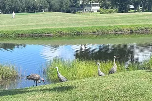 7173 W Country Club Dr N, Sarasota, FL 34243 - Photo 48