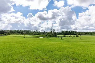 3005 Verna Bethany Rd, Myakka City, FL 34251 - Photo 26
