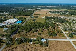 SW Co Rd 760A, Arcadia, FL 34266 - Photo 4