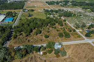 SW Co Rd 760A, Arcadia, FL 34266 - Photo 12