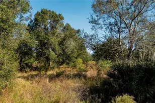 SW Co Rd 760A, Arcadia, FL 34266 - Photo 16