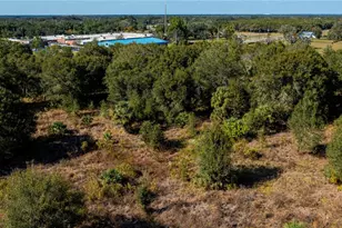 SW Co Rd 760A, Arcadia, FL 34266 - Photo 10