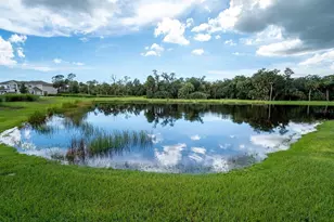 8632 Lunar Skye St, Sarasota, FL 34241 - Photo 40