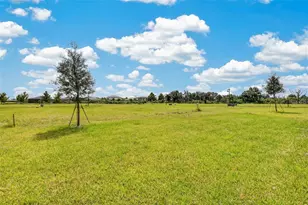 10924 Rabbit Grv Trl, Parrish, FL 34219 - Photo 22