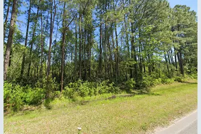 4739 County Road 218 Road, Middleburg, FL 32068 - Photo 2