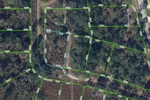 108 Chandler Terrace NE, Lake Placid, FL 33852 - Photo 1