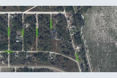 108 Chandler Terrace NE, Lake Placid, FL 33852 - Photo 2