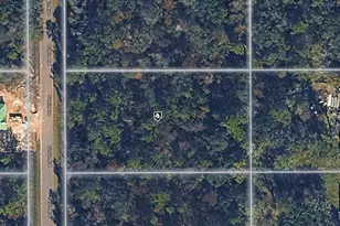 10230 Turpin Ave, Hastings, FL 32145 - Photo 1