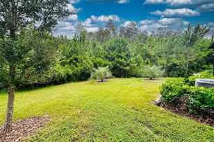 16660 Shell Bay Dr, Land O Lakes, FL 34638 - Photo 54