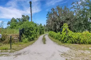 39730 Carlton Rd, Parrish, FL 34219 - Photo 84