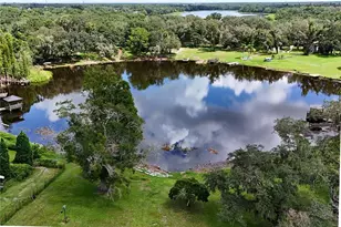 11304 Leprechaun Dr, Riverview, FL 33569 - Photo 48