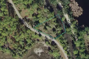 00-00-121-274-11968-A15 Fiddler Terrace, Crawfordville, FL 32327 - Photo 1