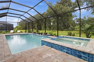 12807 Wheatgrass Ct, Parrish, FL 34219 - Photo 12