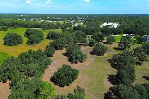 6200 Verna Rd, Myakka City, FL 34251 - Photo 56