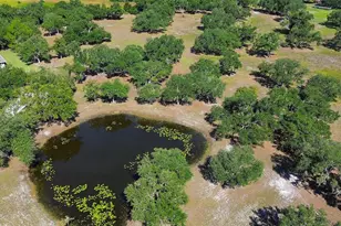 6200 Verna Rd, Myakka City, FL 34251 - Photo 52