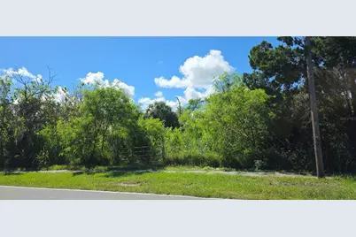 6916 Hudson Avenue, Hudson, FL 34667 - Photo 6