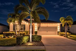 3916 Mossy Limb Ct, Palmetto, FL 34221 - Photo 1