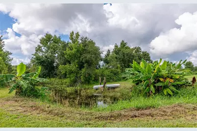 3005 Verna Bethany Road, Myakka City, FL 34251 - Photo 30