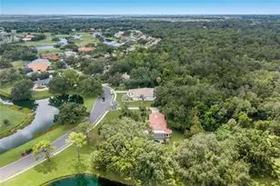 3721 Wilderness Blvd W, Parrish, FL 34219 - Photo 58