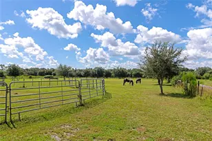 710 Myakka Rd, Sarasota, FL 34240 - Photo 86