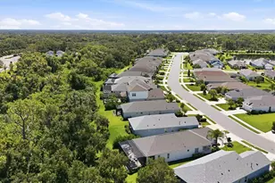 10528 Crooked Crk Ct, Parrish, FL 34219 - Photo 50