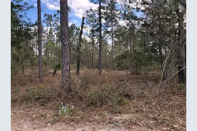 6000 W Cedar Hill Street, Dunnellon, FL 34433 - Photo 10