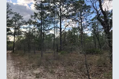 6000 W Cedar Hill Street, Dunnellon, FL 34433 - Photo 8