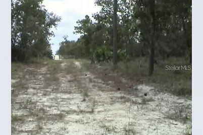 6000 W Cedar Hill Street, Dunnellon, FL 34433 - Photo 14