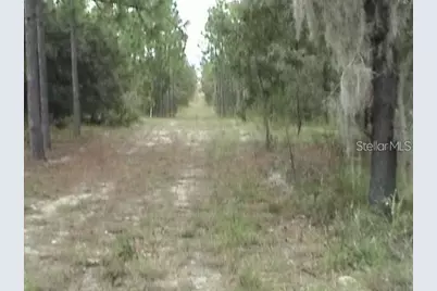 6000 W Cedar Hill Street, Dunnellon, FL 34433 - Photo 12