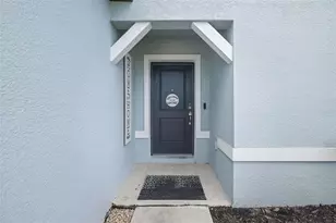 1007 Golden Shiner Ave, Ruskin, FL 33570 - Photo 2