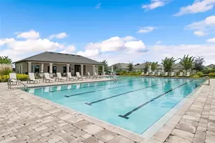 1007 Golden Shiner Ave, Ruskin, FL 33570 - Photo 58