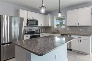 1007 Golden Shiner Ave, Ruskin, FL 33570 - Photo 16