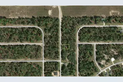 6719 N Varsity Avenue, Citrus Springs, FL 34434 - Photo 2
