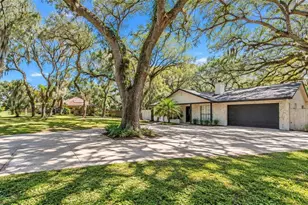 7405 Williams Rd, Seffner, FL 33584 - Photo 4