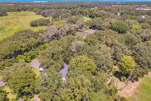 7405 Williams Rd, Seffner, FL 33584 - Photo 94