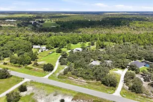 40315 State Road 64 E, Myakka City, FL 34251 - Photo 6