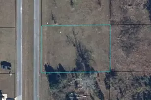 Charlie Gaskin Dr, Wewahitchka, FL 32465 - Photo 1