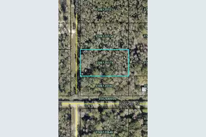 10160 Weatherby Avenue, Hastings, FL 32145 - Photo 1