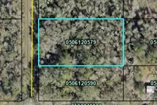 10160 Weatherby Ave, Hastings, FL 32145 - Photo 1