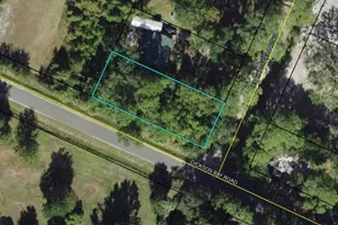 24-5S-02W-057-03133-000 Dickson Bay, Panacea, FL 32346 - Photo 1